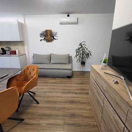Sika Sunny Garden Apartment Arad Kültér fotó
